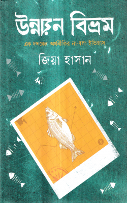 উন্নয়ন বিভ্রম