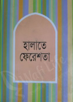 হালাতে ফেরেশতা