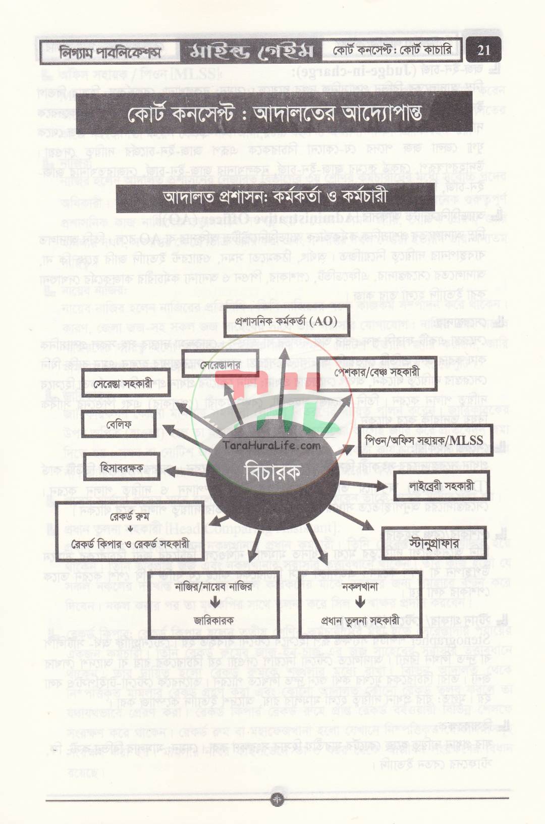 মাইন্ড গেইম ভাইভা বোর্ড