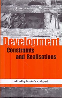 Development Constraints and Realisation