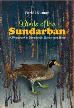 Birds Of The Sundarban