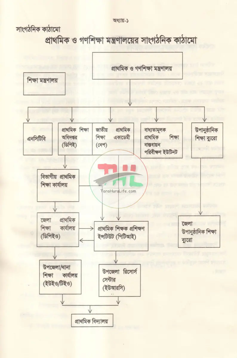 প্রাথমিক ও গণশিক্ষা বিষয়ক আইন কানুন Law Books